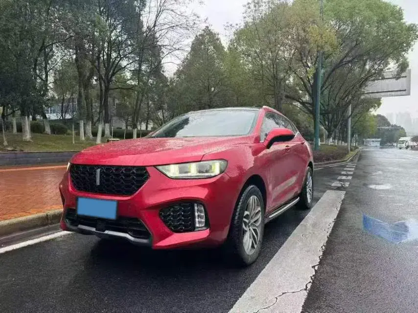 2019 WEY VV5 2.0T 224HP L4 7DCT