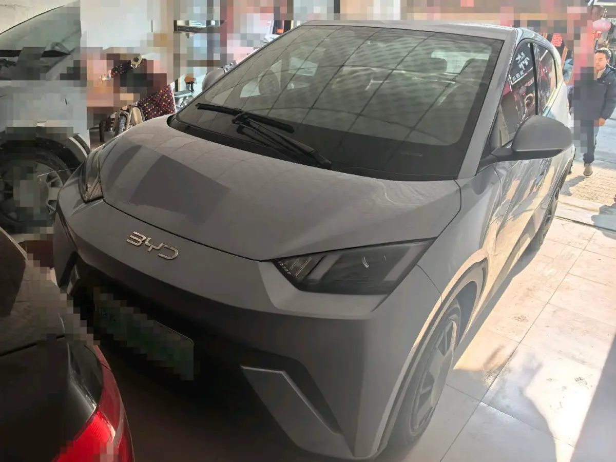 2024 BYD Seagull BEV 30.08KWH