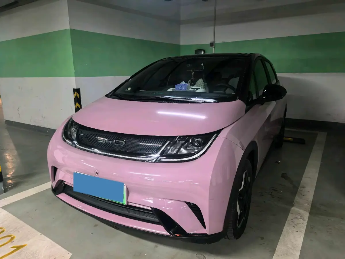 2021 BYD Yuan Pro BEV 50.1KWH