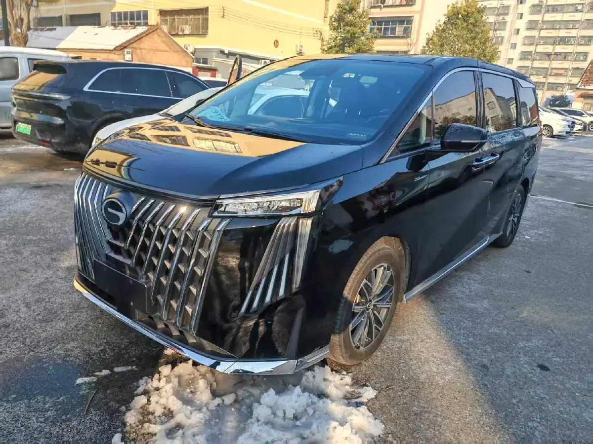 2024 GAC Trumpchi M8 2.0T 252HP L4 8AT