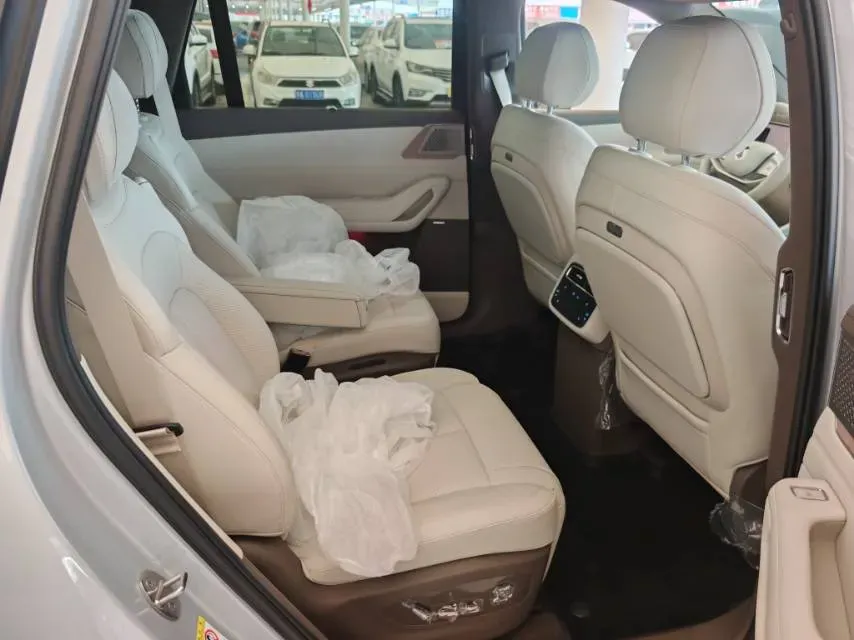 2025 Denza DenzaN8L 2.0T 207HP L4 E-CVT PHEV,autocango,china used car exporter,china ev exporter,chinese used car exporter,chinese used ev exporter