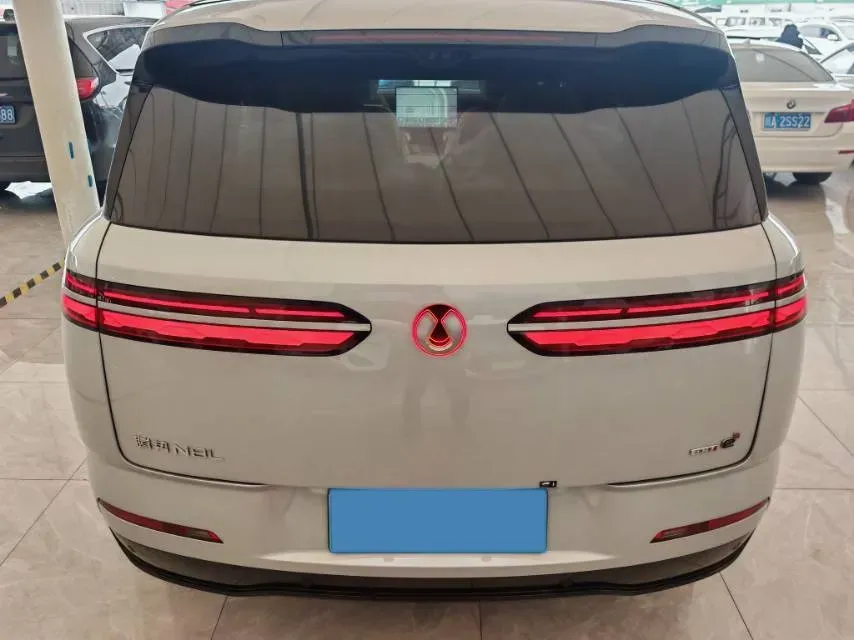 2025 Denza DenzaN8L 2.0T 207HP L4 E-CVT PHEV,autocango,china used car exporter,china ev exporter,chinese used car exporter,chinese used ev exporter