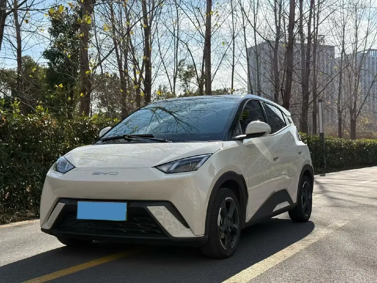 2024 BYD Seagull BEV 30.08KWH