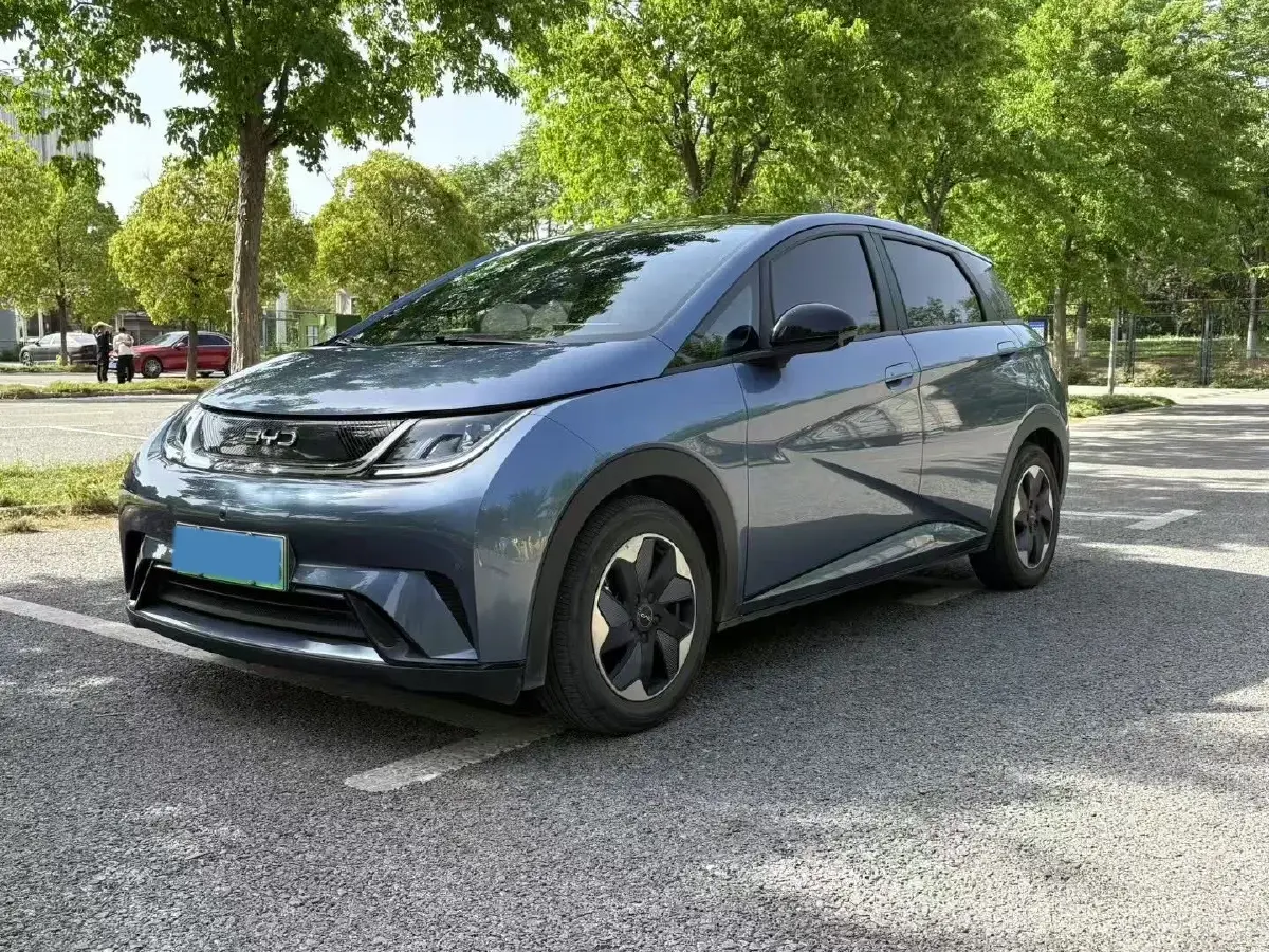 2024 BYD Dolphin BEV 44.928KWH