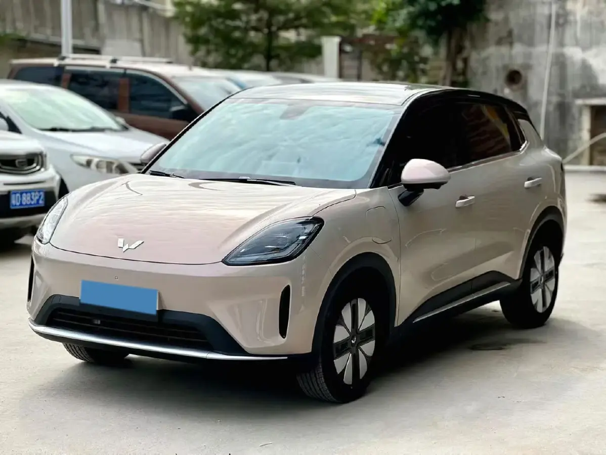 2025 WuLing BinGuo BEV