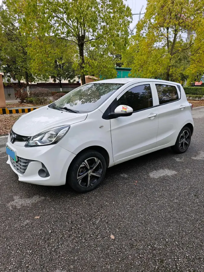 2021 ChangAn BenBen E-Star BEV 31.95KWH