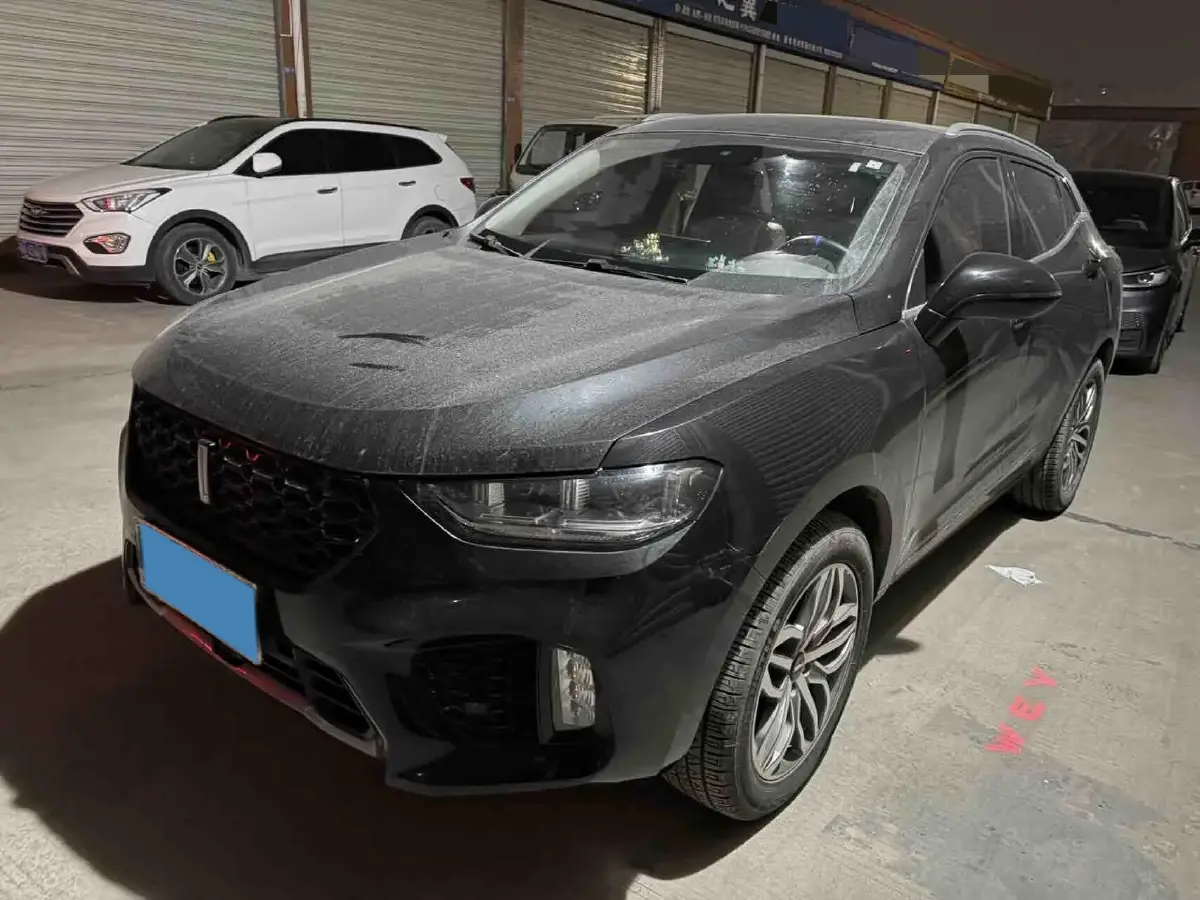 2019 WEY VV5 2.0T 224HP L4 7DCT