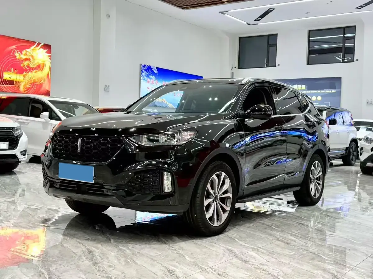 2019 WEY VV6 2.0T 224HP L4 7DCT