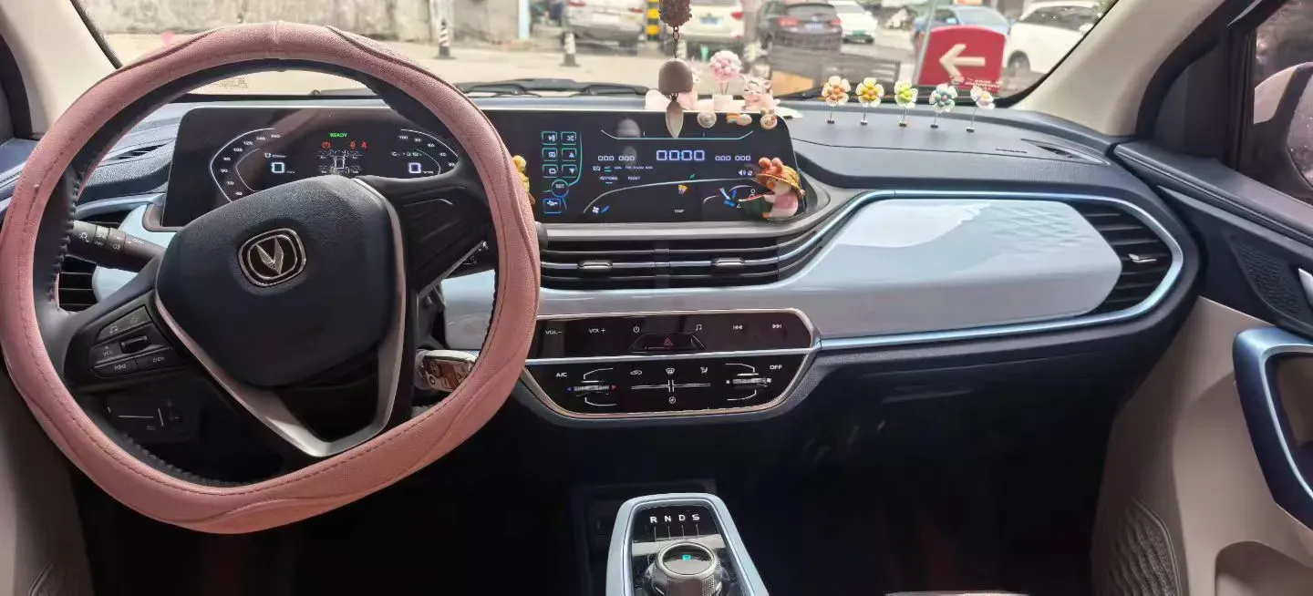 2022 ChangAn BenBen E-Star BEV 32.2KWH,autocango,china used car exporter,china ev exporter,chinese used car exporter,chinese used ev exporter