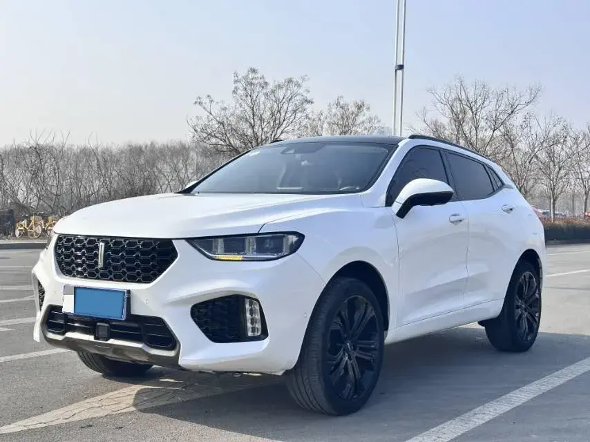 2019 WEY VV5 2.0T 197HP L4 7DCT