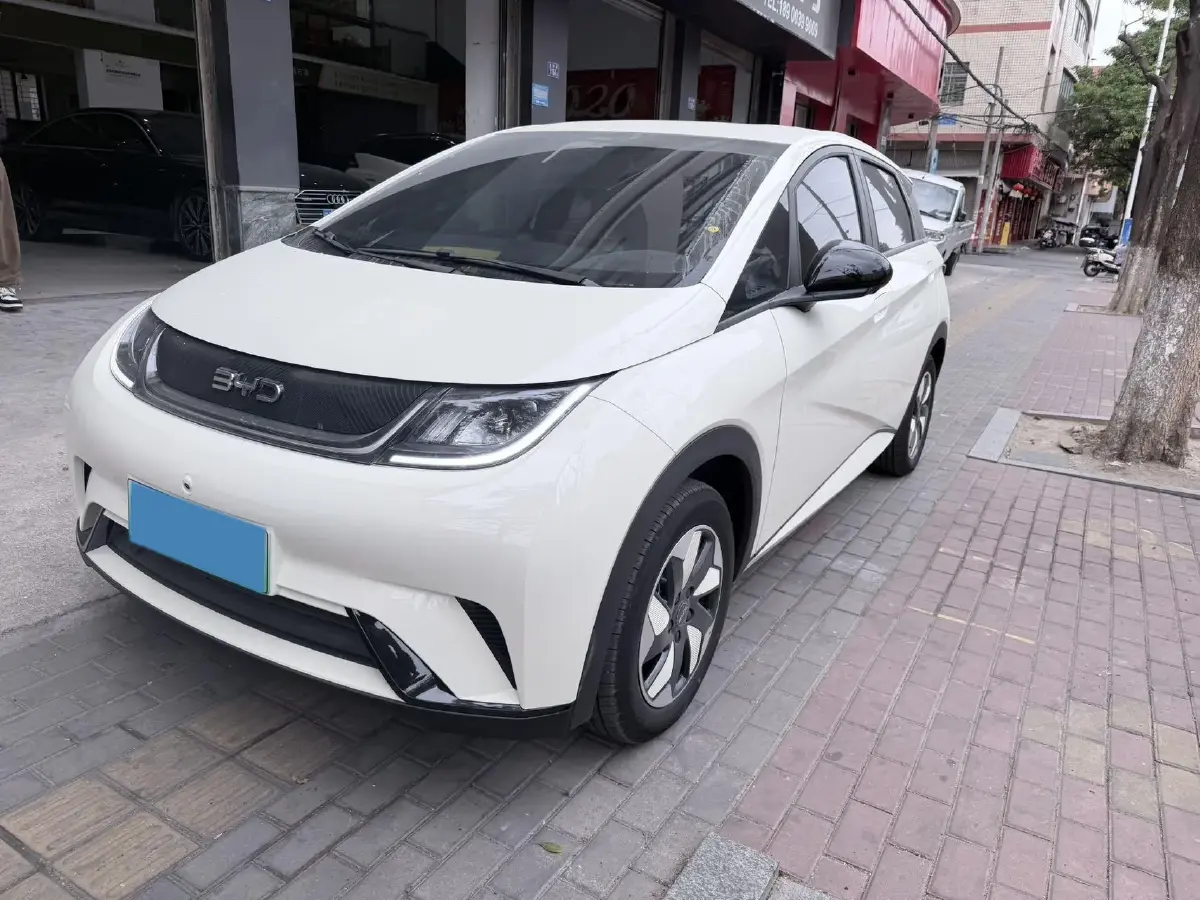 2025 BYD Dolphin BEV 44.928KWH