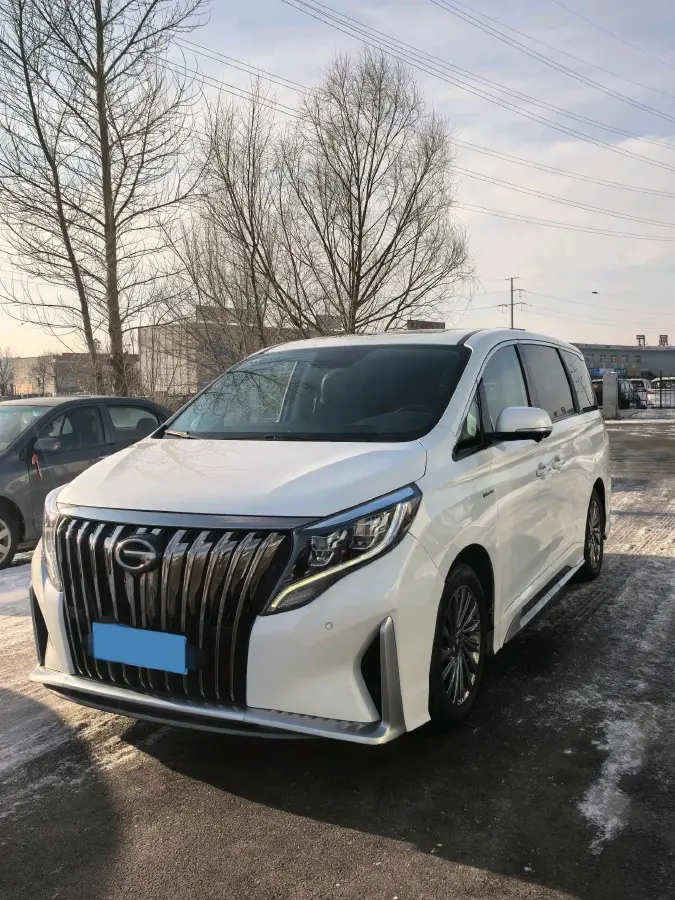 2021 GAC Trumpchi M8 2.0T 252HP L4 8AT