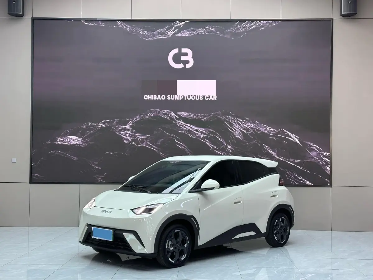 2025 BYD Seagull BEV 30.08KWH