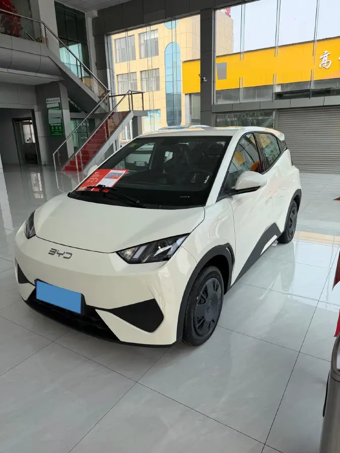2025 BYD Seagull BEV 30.08KWH