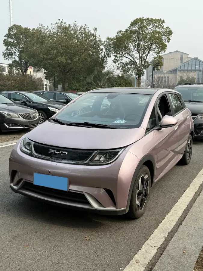2021 BYD Yuan Pro BEV 50.1KWH
