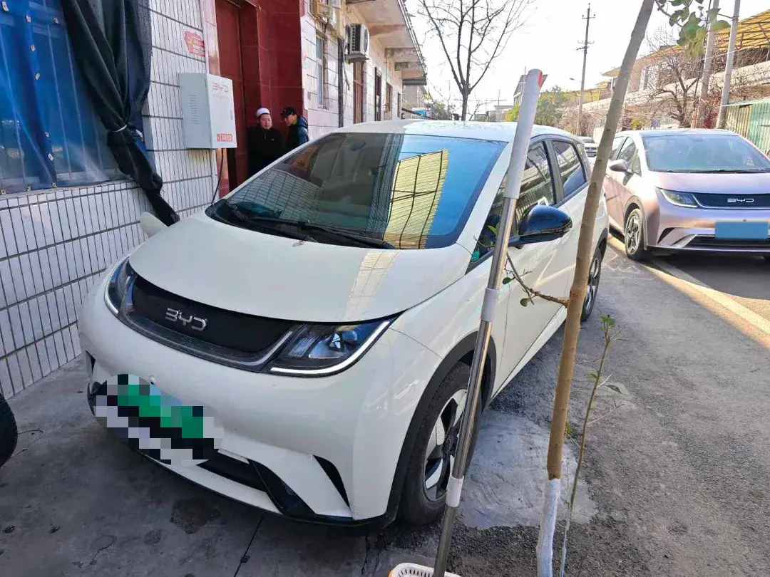 2024 BYD Dolphin BEV 44.928KWH