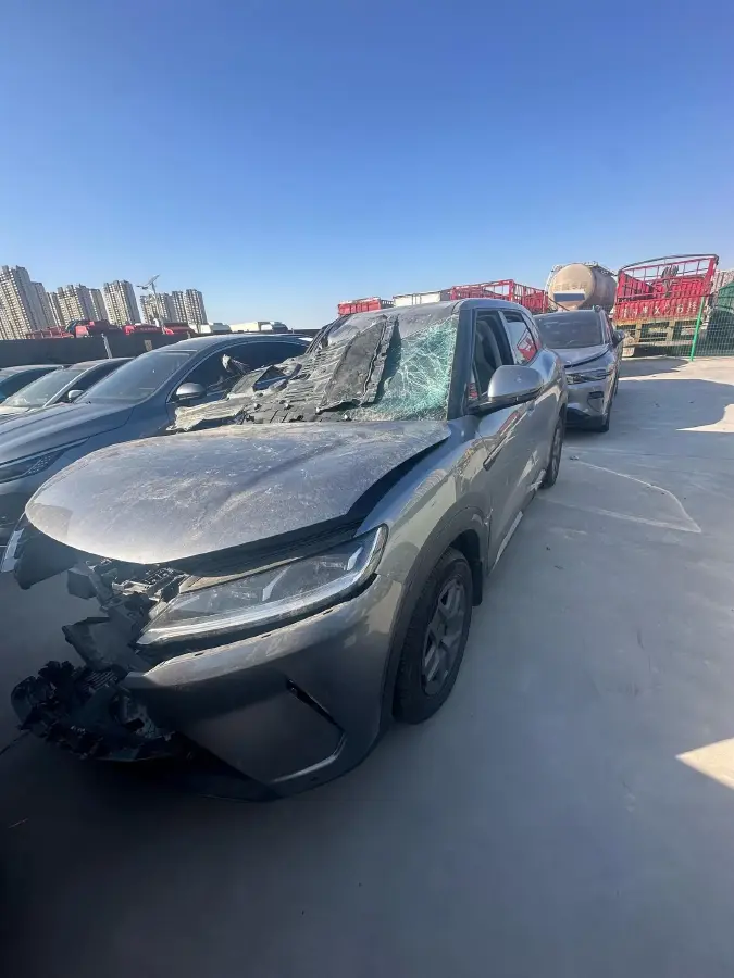 2024 BYD YuanUP BEV 32KWH