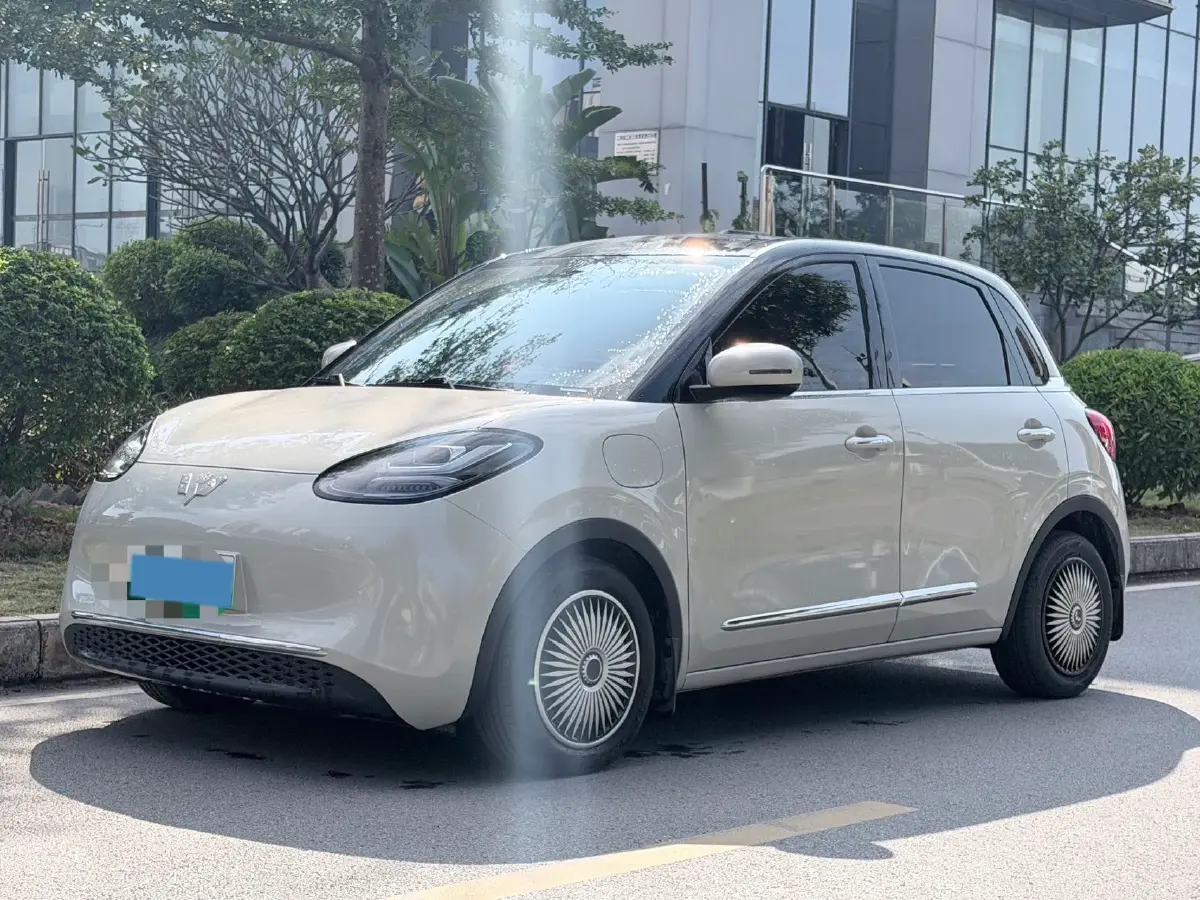 2023 WuLing BinGuo BEV 31.9KWH