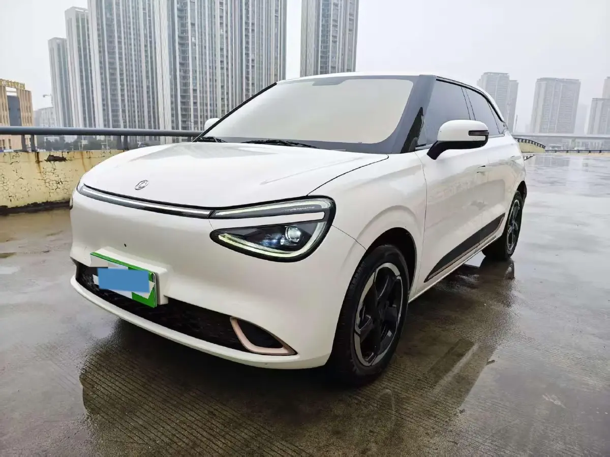 2024 DongFeng Nammi 01 BEV 42.3KWH