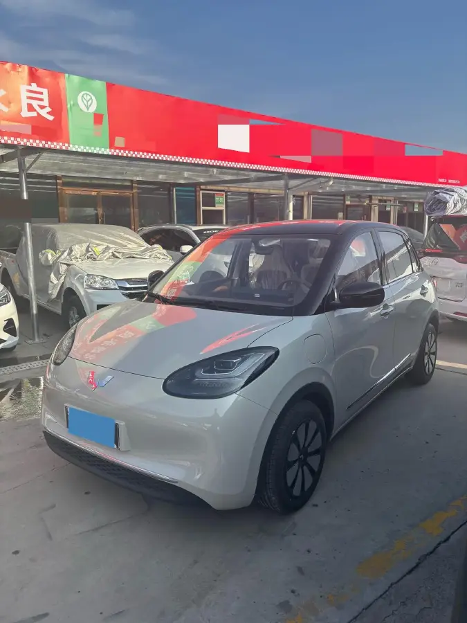 2024 WuLing BinGuo BEV 31.9KWH