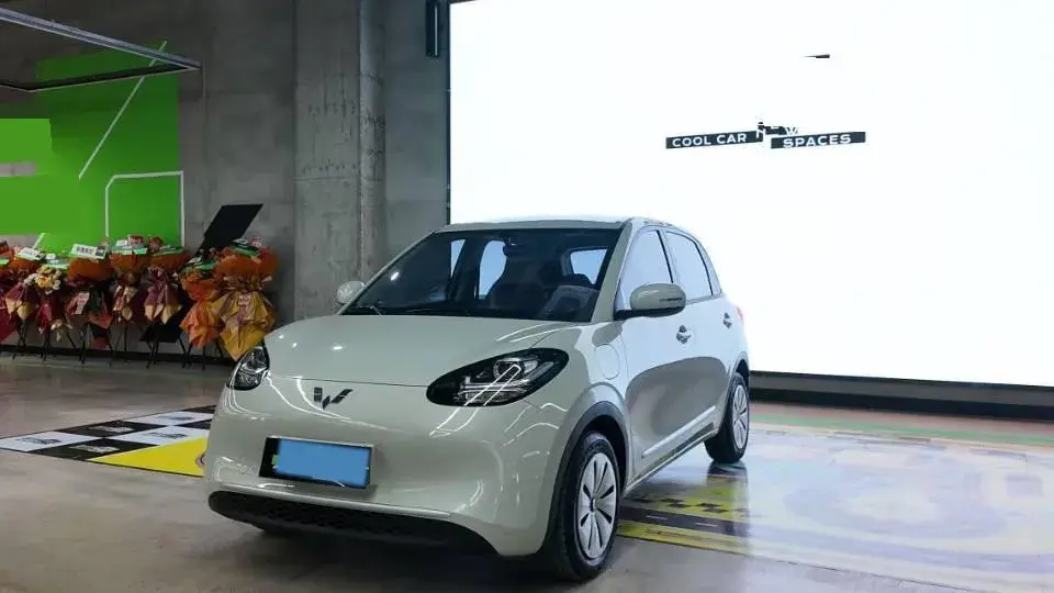 2024 WuLing BinGuo BEV 17.3KWH