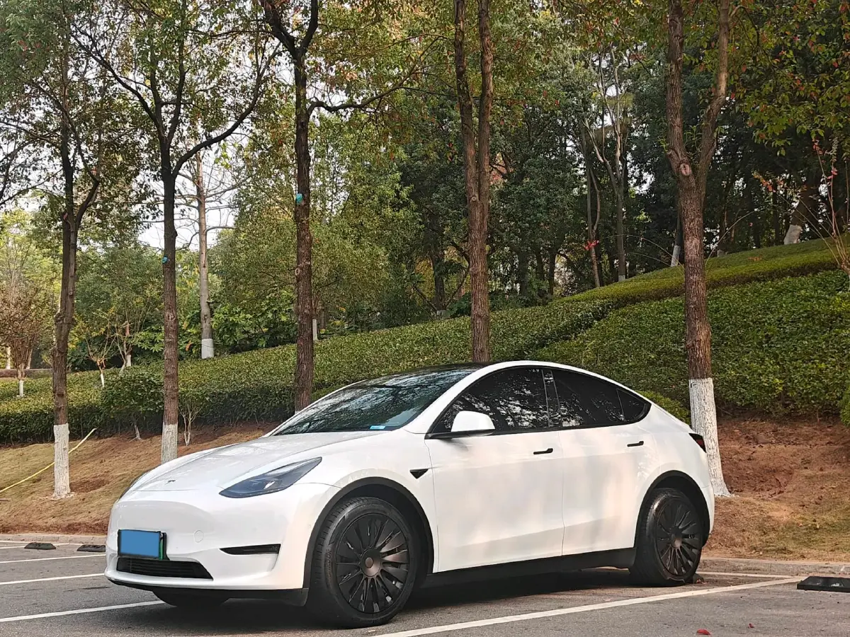 2021 Tesla Model Y BEV 60KWH