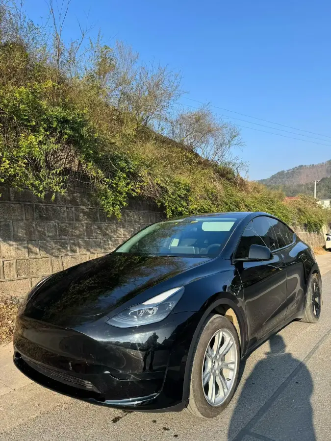2022 Tesla Model Y BEV 60KWH