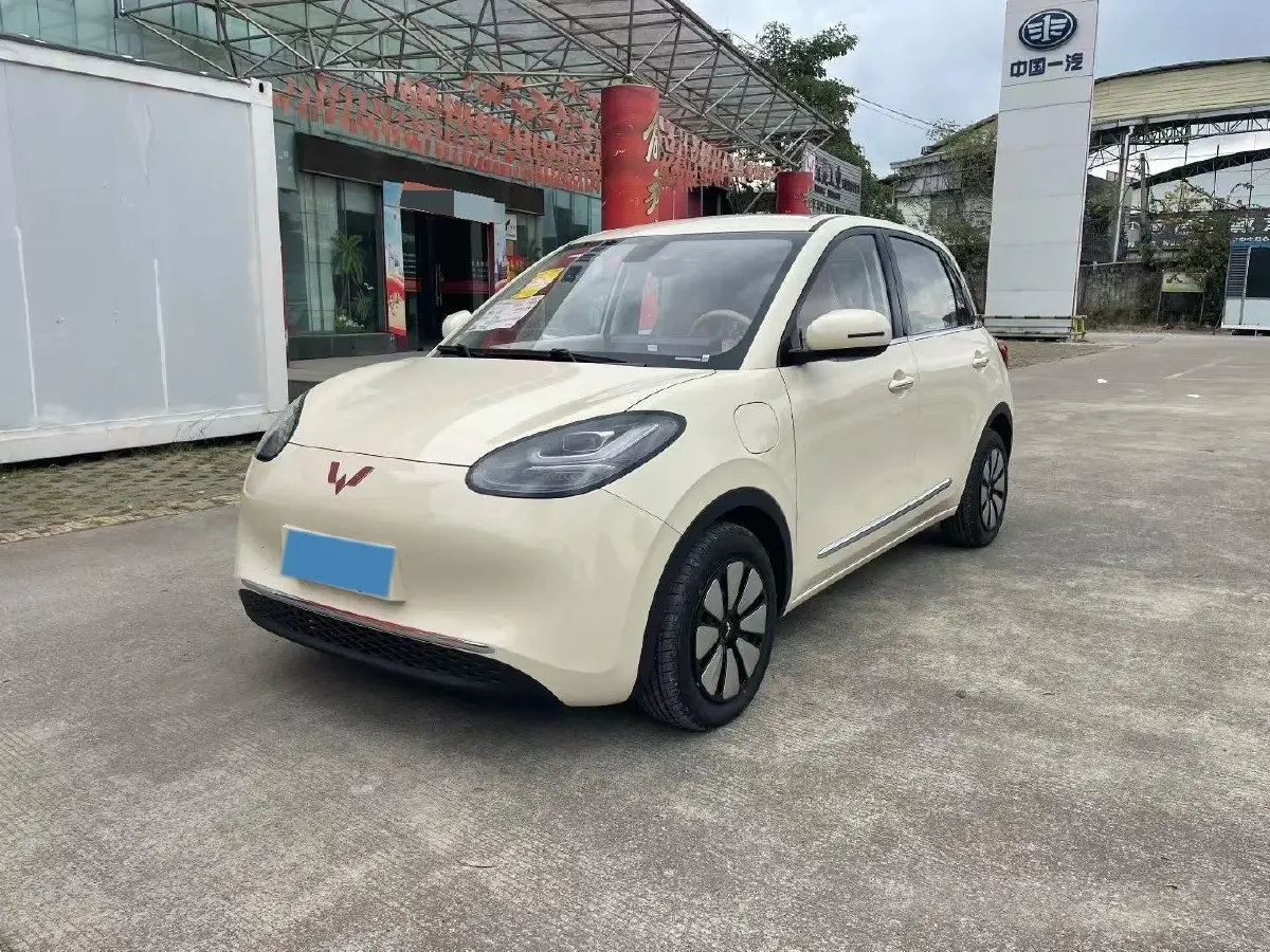 2025 WuLing BinGuo BEV