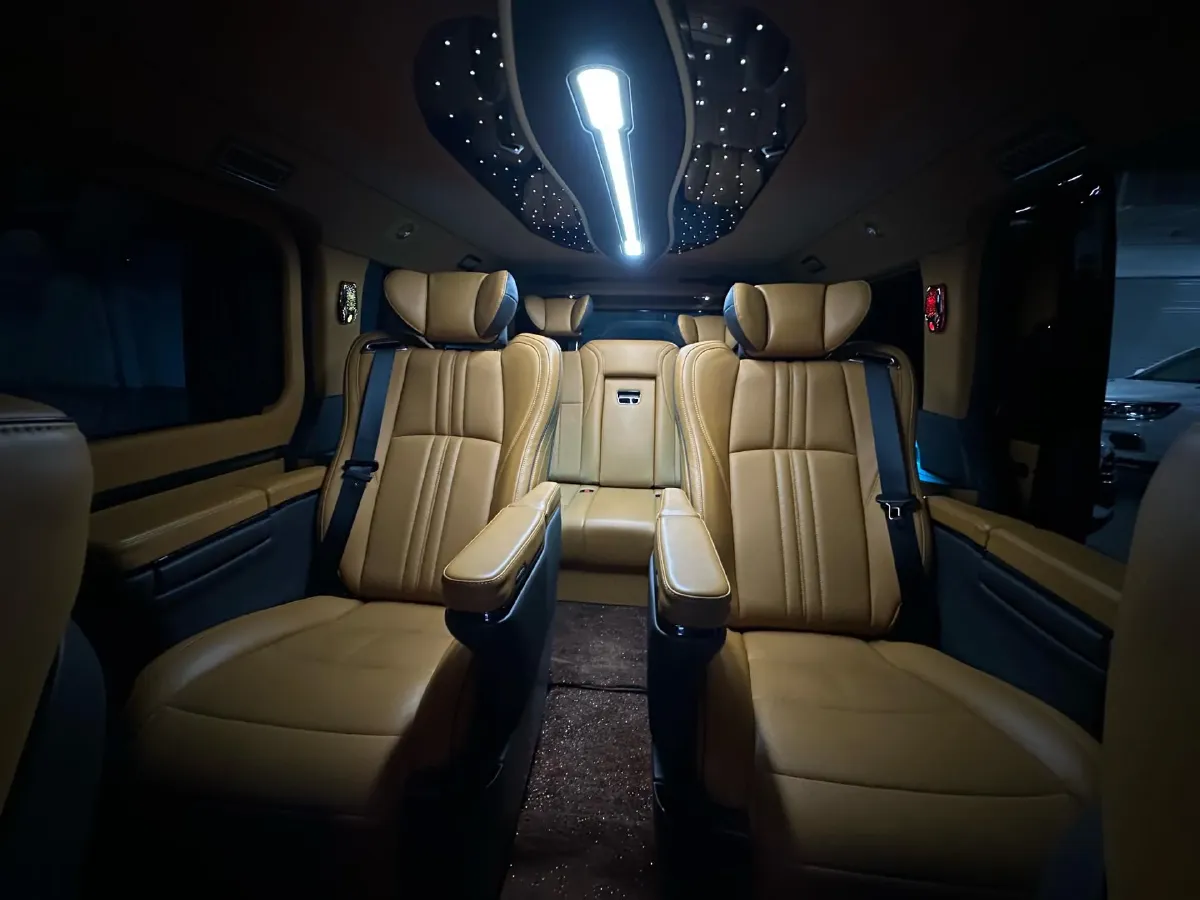 2019 Golden Dragon Sea Lion BEV 51.67KWH,autocango,china used car exporter,china ev exporter,chinese used car exporter,chinese used ev exporter