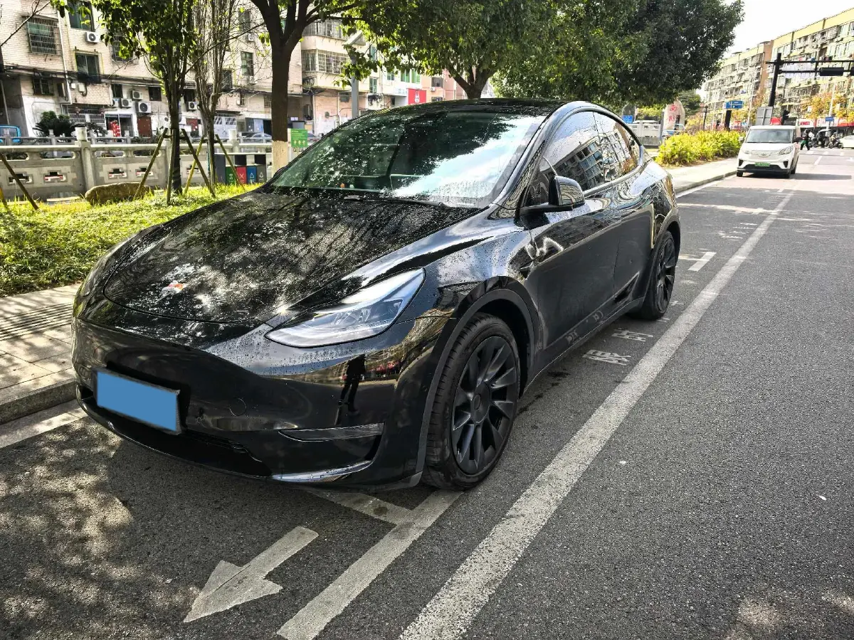 2021 Tesla Model Y BEV 60KWH