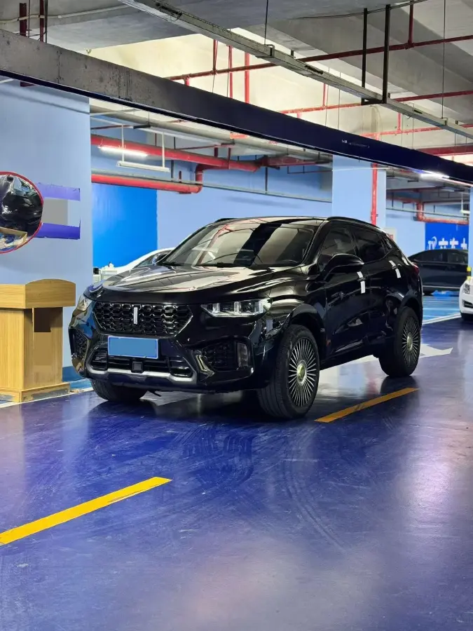 2019 WEY VV5 2.0T 224HP L4 7DCT