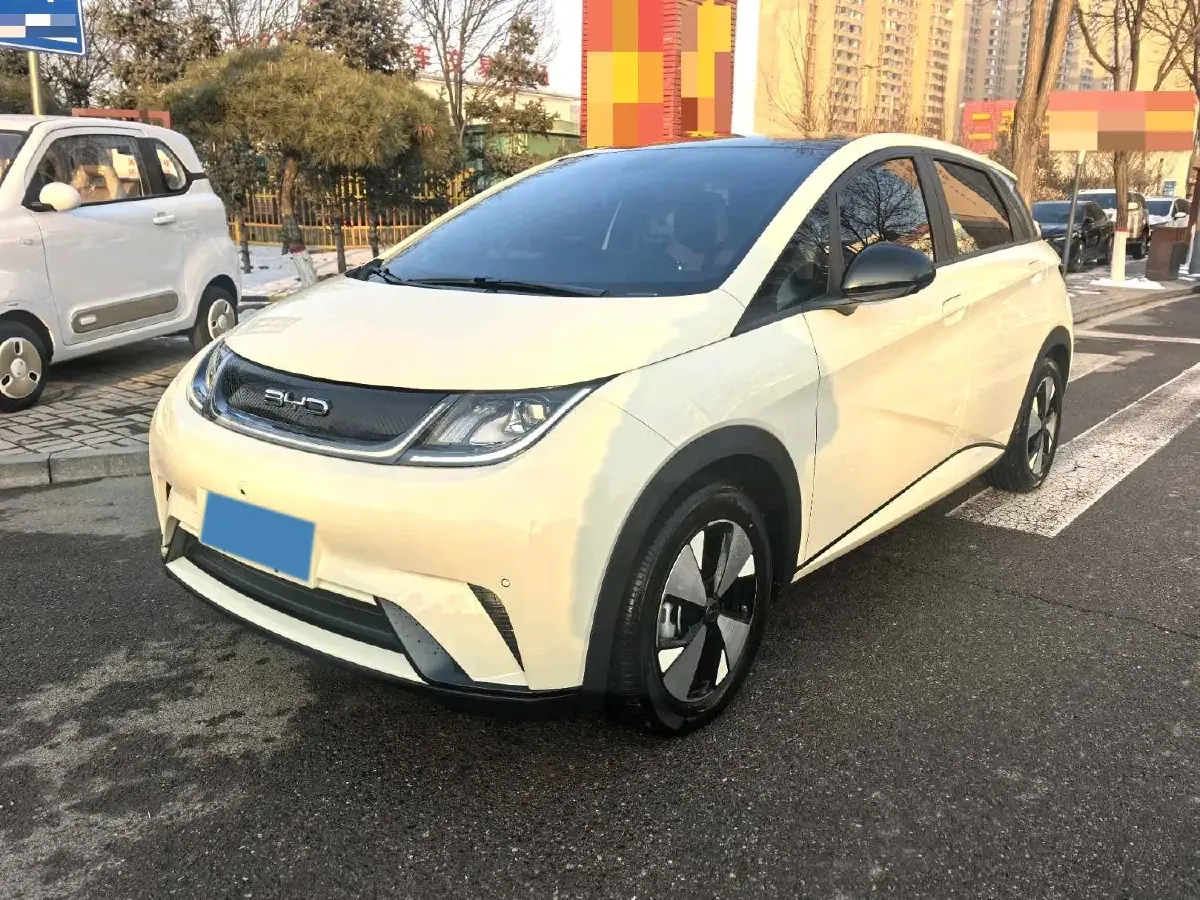 2023 BYD Dolphin BEV 44.928KWH
