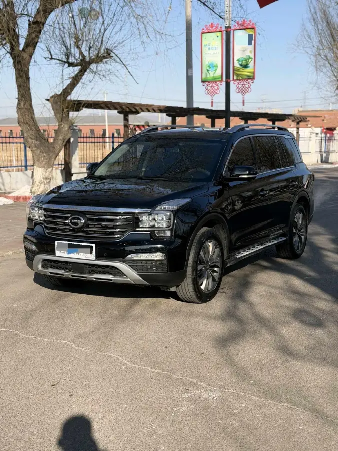 2019 GAC Trumpchi GS8 2.0T 252HP L4 6AT