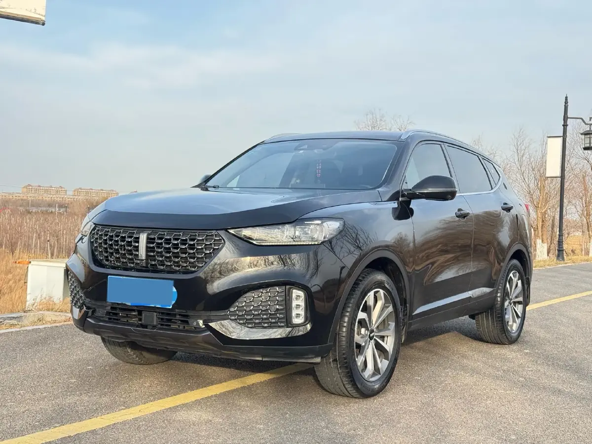 2020 WEY VV6 2.0T 227HP L4 7DCT