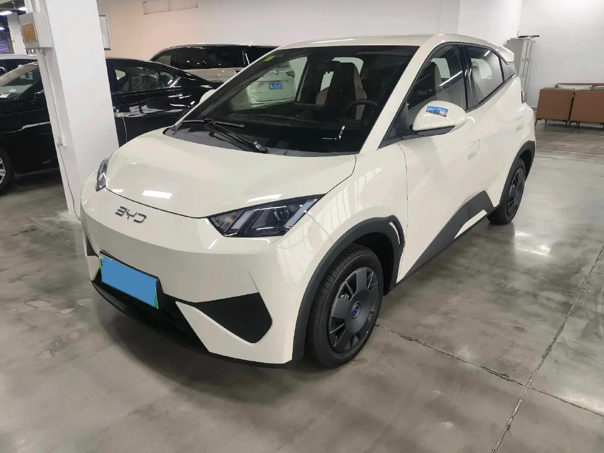 2025 BYD Seagull BEV 30.08KWH