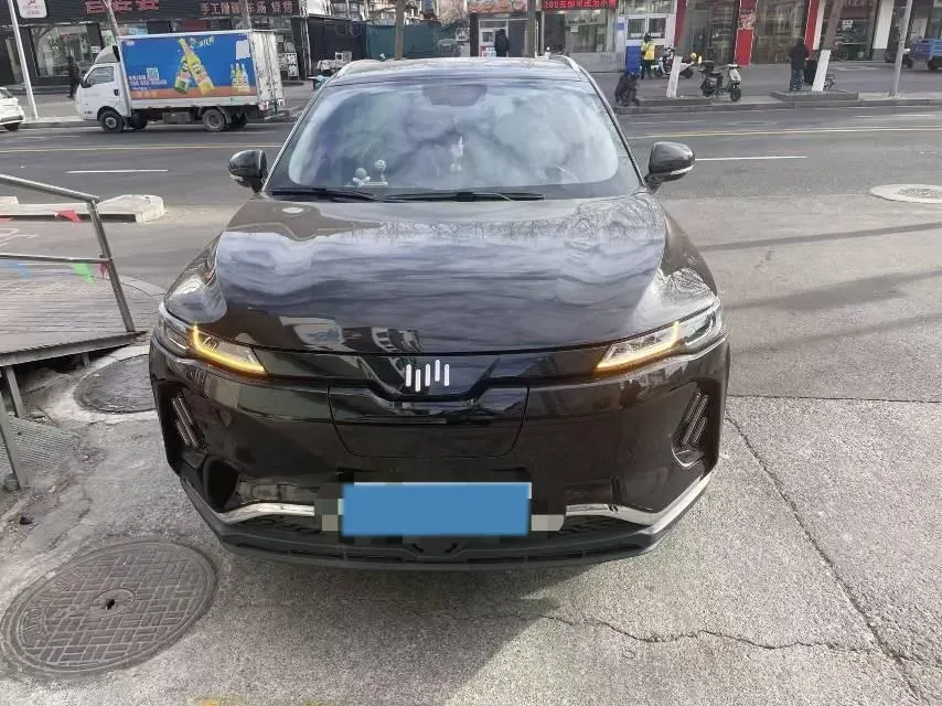 2020 Weltmeister EX6 BEV 54KWH,autocango,china used car exporter,china ev exporter,chinese used car exporter,chinese used ev exporter