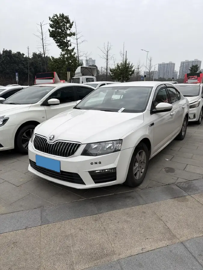 2017 Skoda Octavia 1.6L 110HP L4 6AT