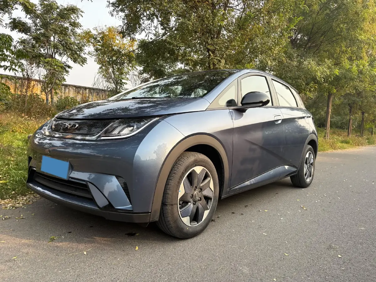 2025 BYD Dolphin BEV 44.928KWH