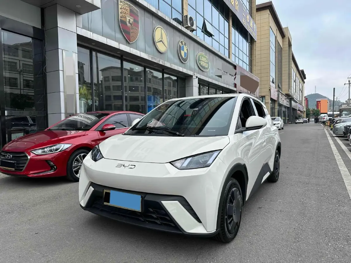 2024 BYD Seagull BEV 30.08KWH