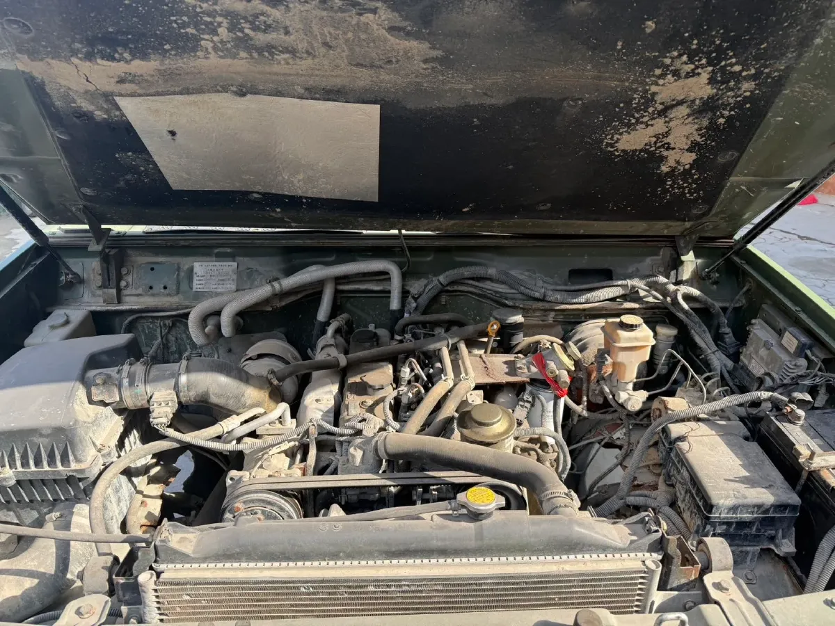 2019 BAW Warrior Pickup 2.8T 109HP L4 5MT,autocango,china used car exporter,china ev exporter,chinese used car exporter,chinese used ev exporter