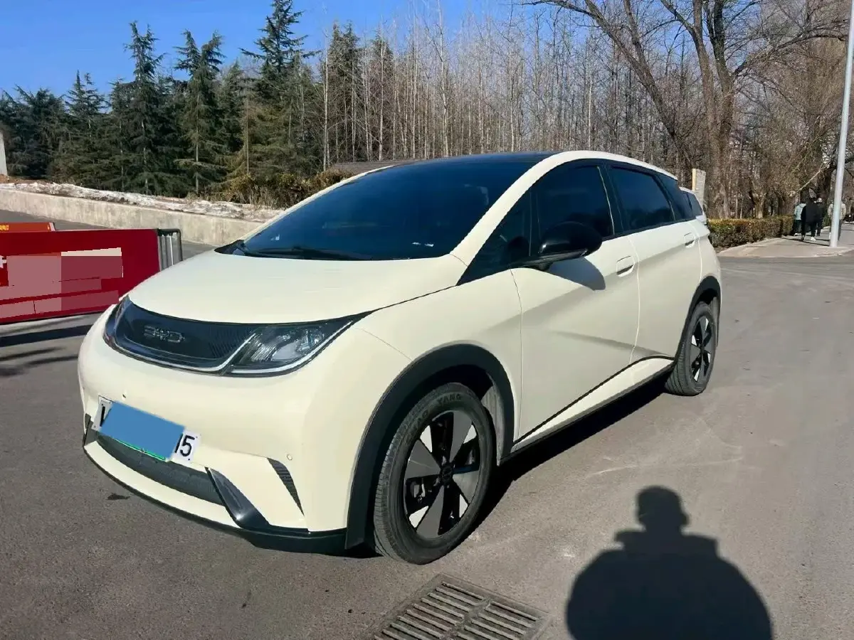 2023 BYD Dolphin BEV 44.928KWH