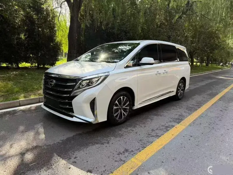 2021 GAC Trumpchi M8 2.0T 252HP L4 8AT