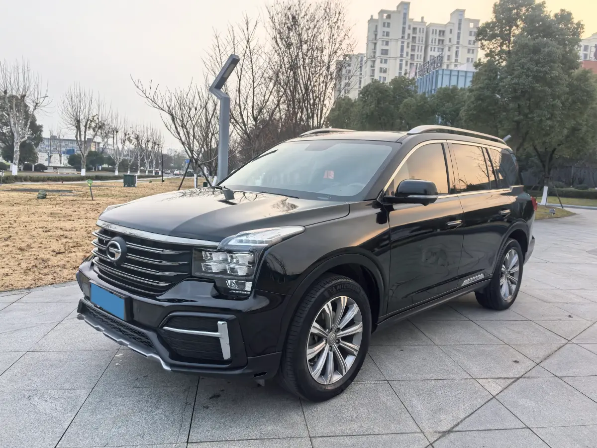 2020 GAC Trumpchi GS8 2.0T 252HP L4 6AT
