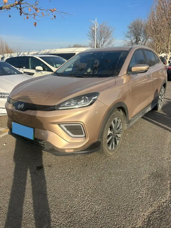 2019 Weltmeister EX5 BEV 69KWH