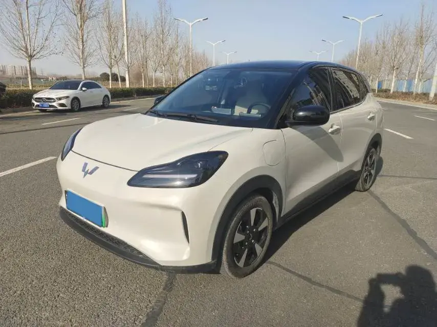 2024 WuLing BinGuoPLUS BEV 31.9KWH