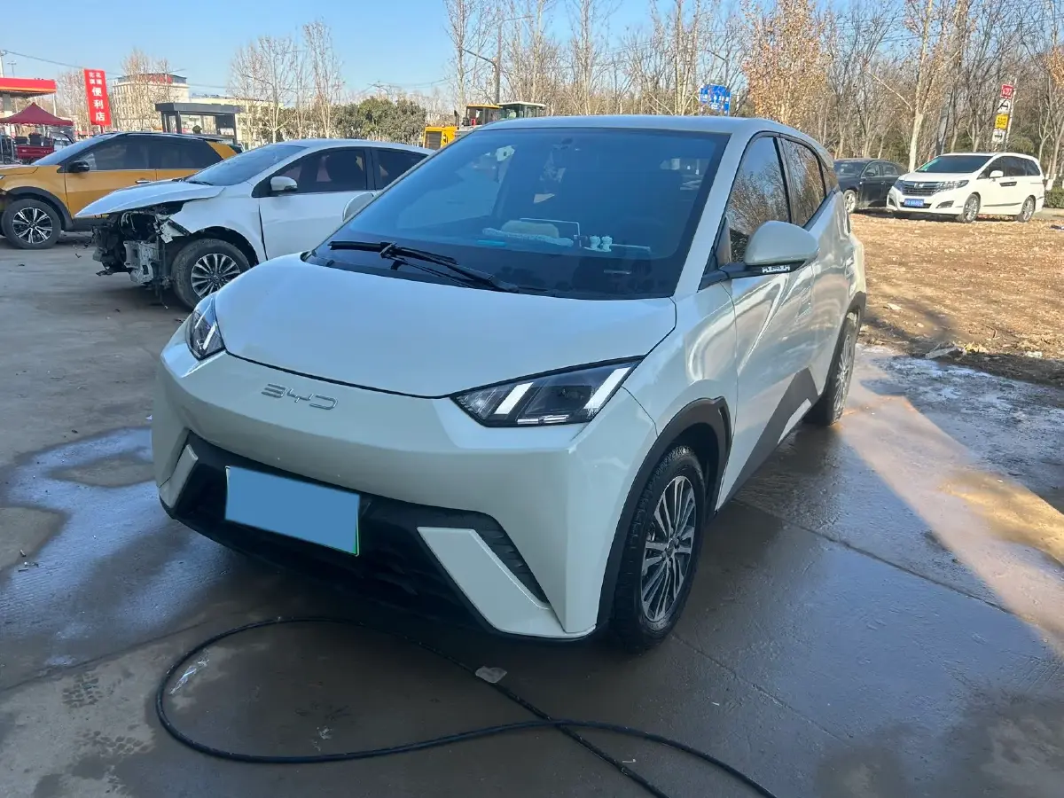 2024 BYD Seagull BEV 30.08KWH