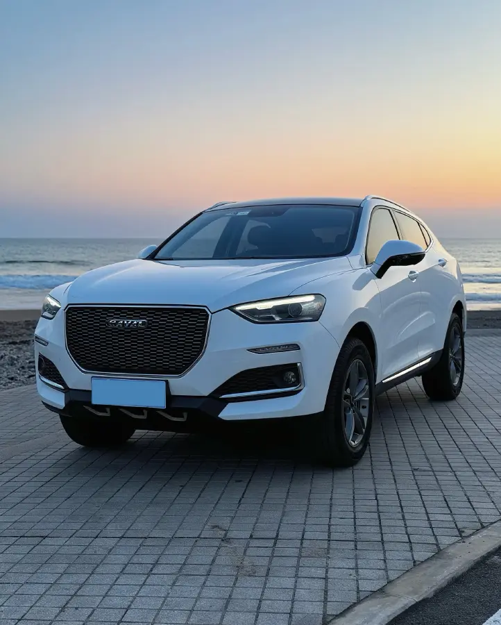 2018 Haval F5 1.5T 169HP L4 7DCT