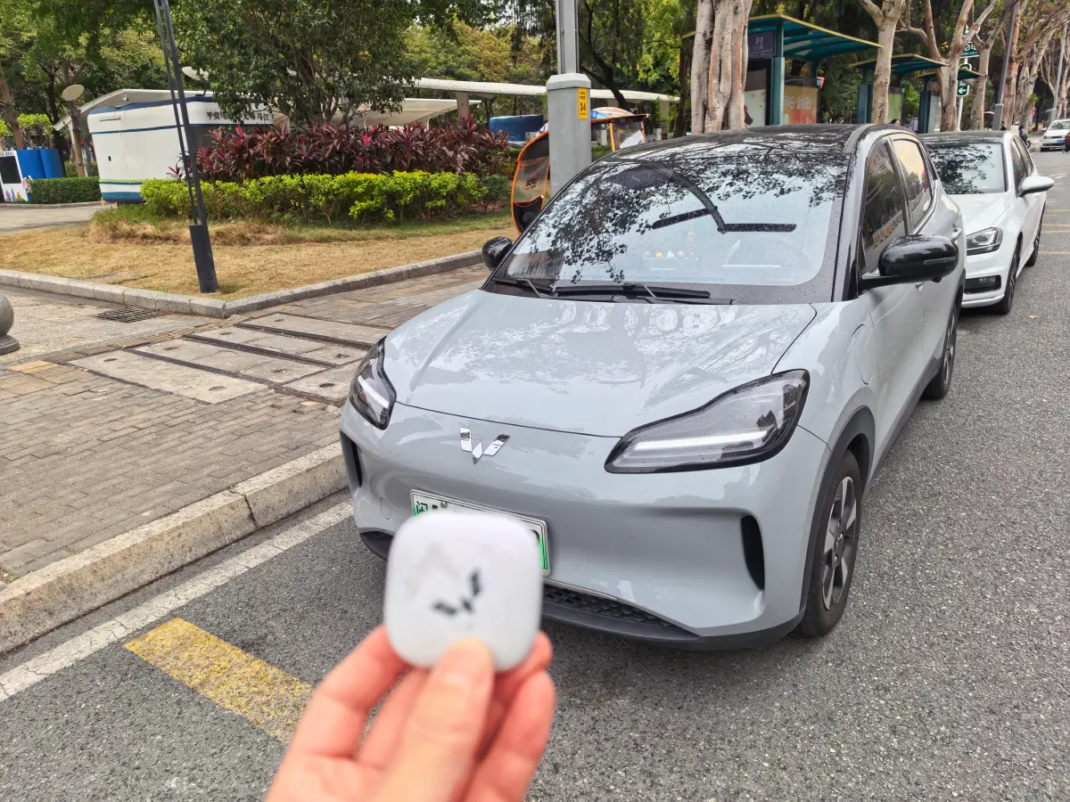 2024 WuLing BinGuoPLUS BEV 50.6KWH