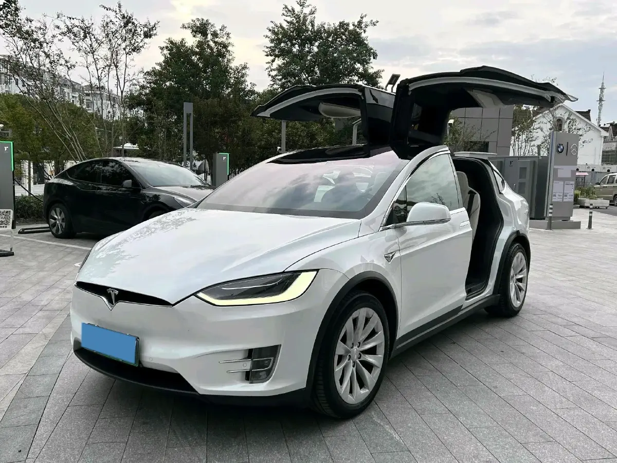 2019 Tesla Model X BEV 100KWH