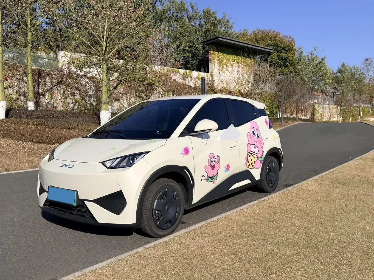 2025 BYD Seagull BEV 30.08KWH